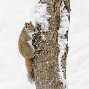 Un dernier regard avant de quitter!