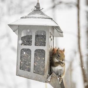 Là, c'est le temps de déguster!