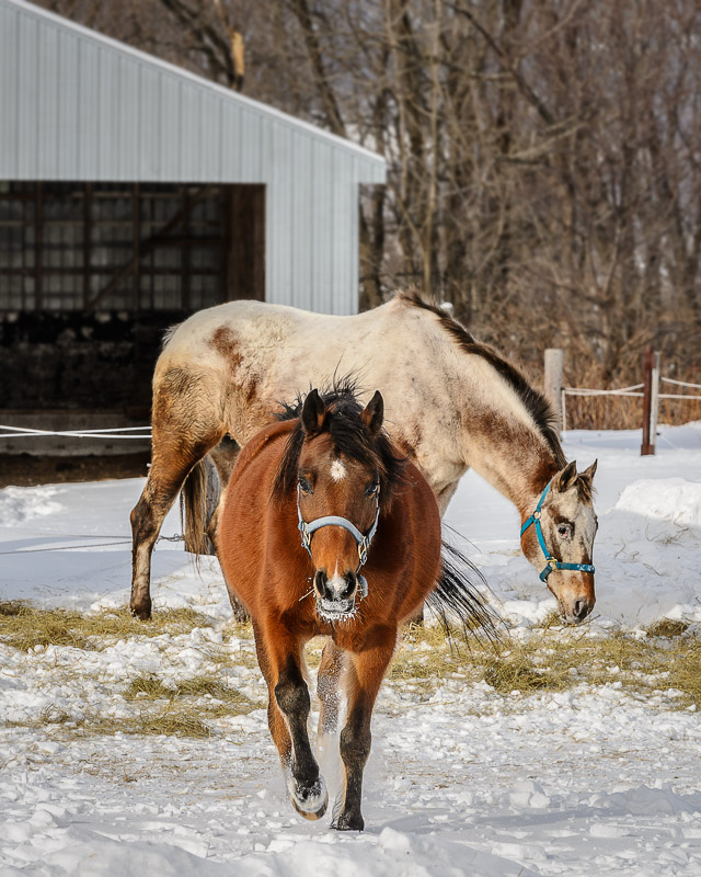 20130126-MR-125609-Modifier