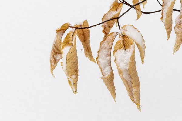 20130120-MR-135626-Modifier-2