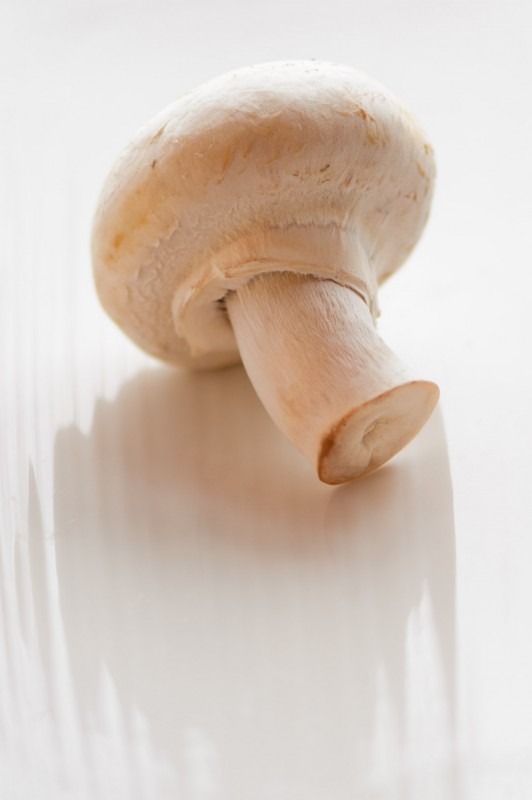 20140106-MR-151856-Modifier