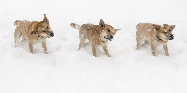 20140218-MR-115055-3-Modifier