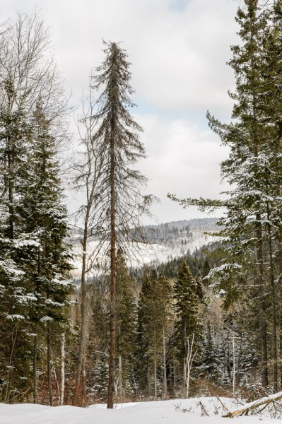 Paysage bien typique 