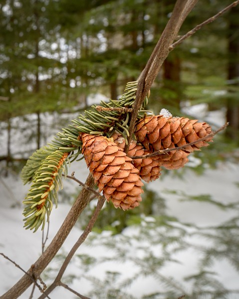 Un détail qui a attiré mon attention ...