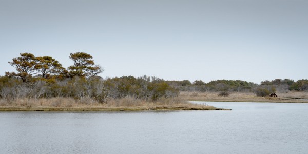 Paysage typique observé sur l'Île. On remarque un cheval en tout petit à droite.