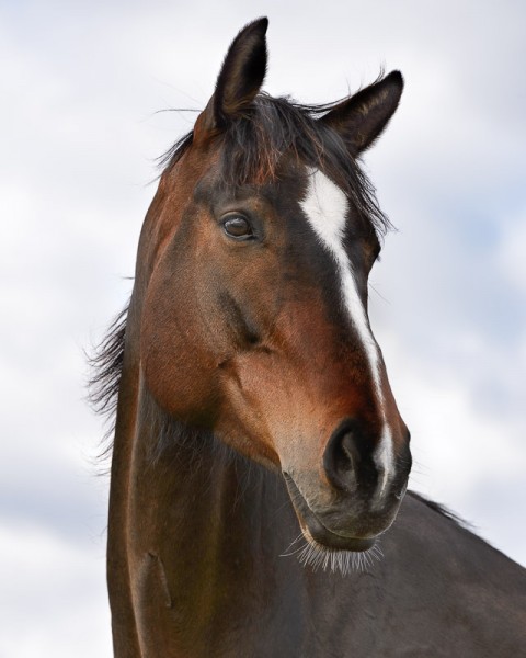 20130520-MR-170648-Modifier