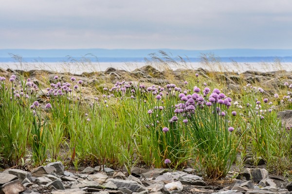 20130623-MR-162017-Modifier