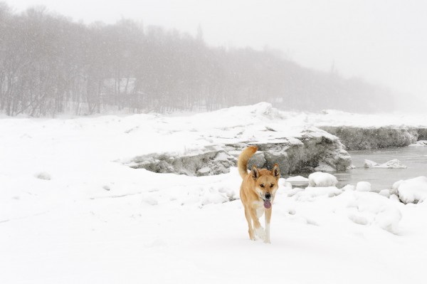 20140301-MR-150546-Modifier